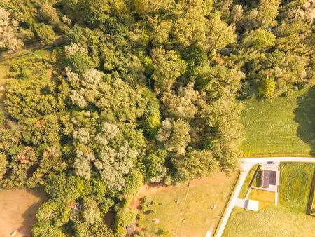 terrain à vendre à tremelo € 26.000 (lqfli) - homixx vastgoed haacht | zimmo