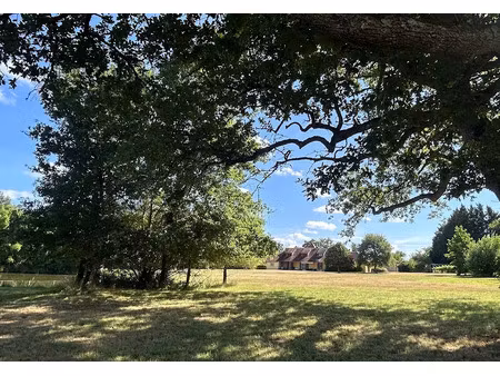 vente propriété 8 pièces 265 m² à neuvy-sur-barangeon (18330)  530 000 €