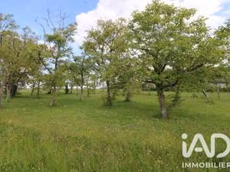 vente terrain à monteaux (41150) : à vendre / 980m² monteaux