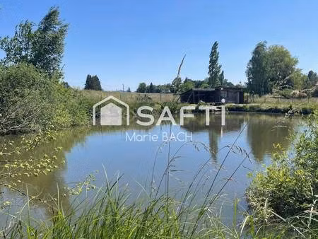 safti gribling cloé conseiller indépendant