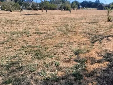 vente terrain 1763 m² à argenton-sur-creuse (36200)  39 000 €