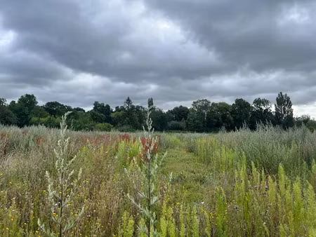 vente terrain 1000 m² à les damps (27340)  92 000 €