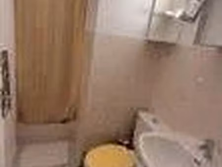 location meublée appartement 1 pièce 19 m² à toulouse (31000)  440 €