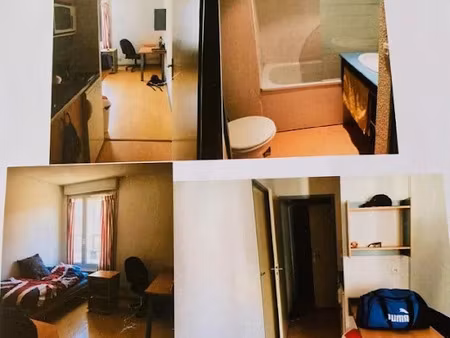 location meublée appartement 1 pièce 21 m² à saint-etienne (42000)  335 €