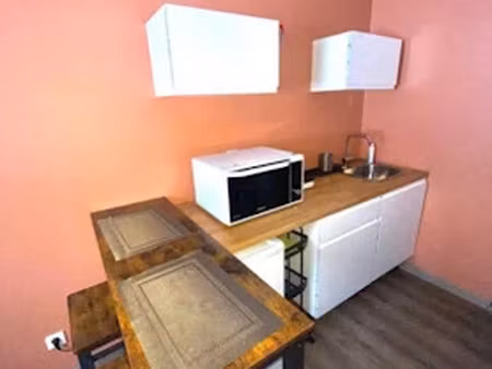 location meublée appartement 2 pièces 30 m² à saint-etienne (42000)  460 €