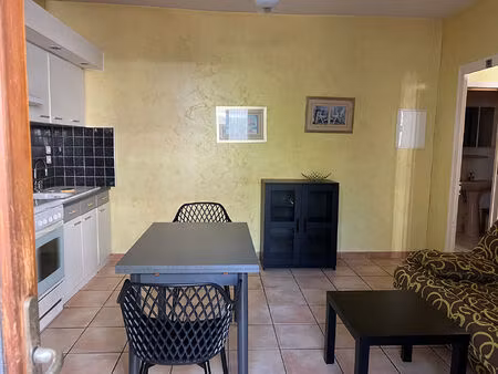 appartement meublé aix les bains 2 pièce(s) 24.99 m2