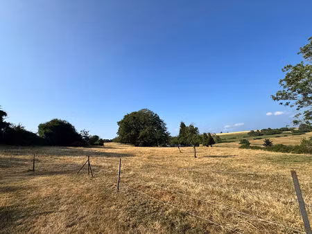 terrain à bâtir non viabilisé à sury de 1 956 m2