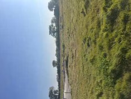 vente terrain à guilers (29820) : à vendre / guilers