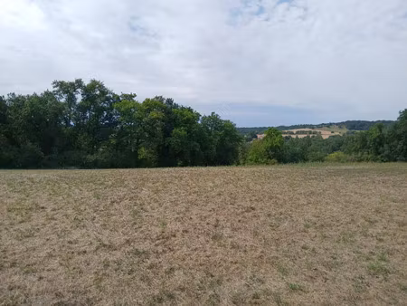 vente terrain 23620 m² saint-martin-de-ribérac (24600)