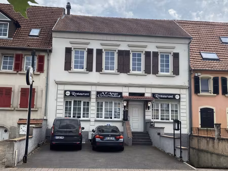 achat immeuble 450m² sarreguemines 57200