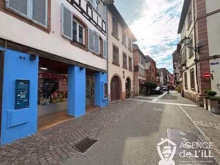 maison de prestige de 45 m2 en location ribeauvillé  grand est