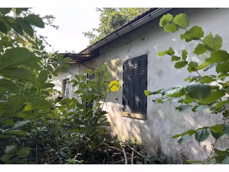 vente maison 3 pièces 72 m² domats (89150)