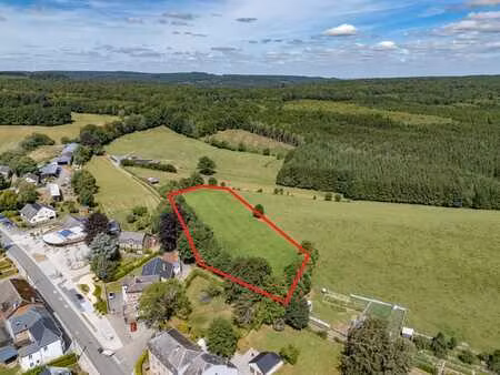 terrain de 92 ares à champlon avec vue dégagée