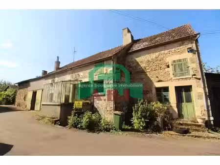 58  à 10mns clamecy dans le charmant village de asnois propriété en pierre de pays avec...