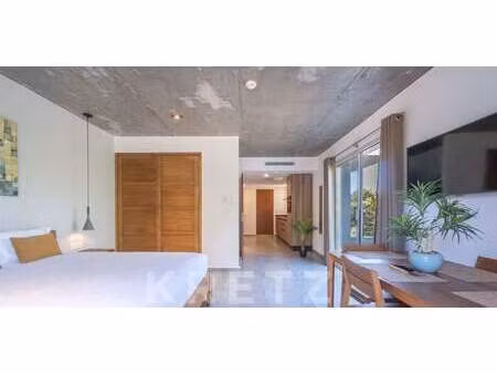 appartement en bord de mer porticcio (2a)