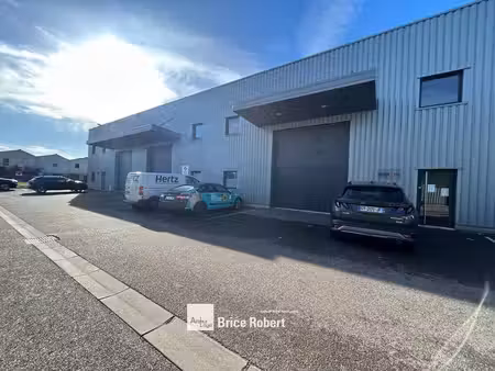 location local d’activités saint priest 69800 340m²