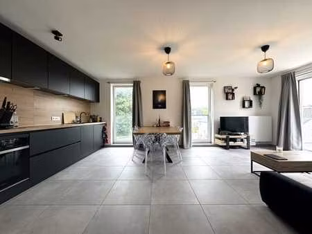 appartement deux chambres avec terrasse  parking et cave