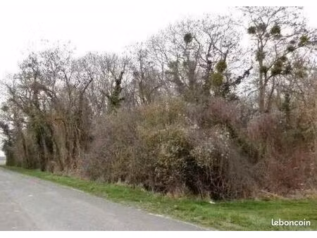 terrain 1 495 m² monjavoult