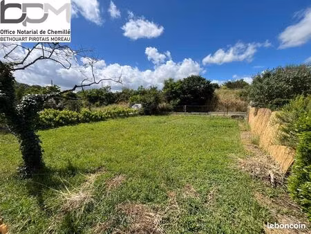 terrain 281 m² chalonnes-sur-loire