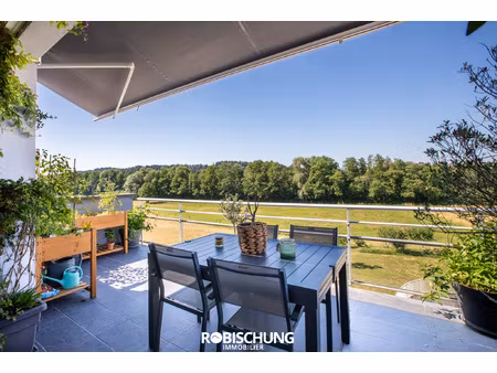hirsingue : magnifique appartement dans environnement recher