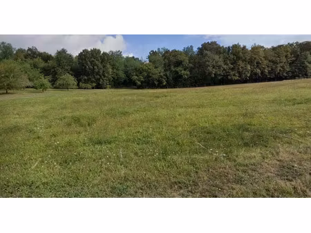 terrain à bâtir de 6000 m² à cause-de-clerans (24)