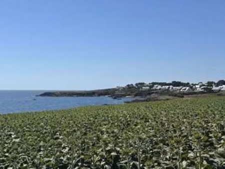 vente maison bord de mer à clohars-carnoët (29360) : à vendre bord de mer / 500m² clohars-