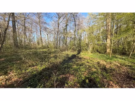 vente terrain 1710 m² à bois-le-roi (77590)  24 000 €