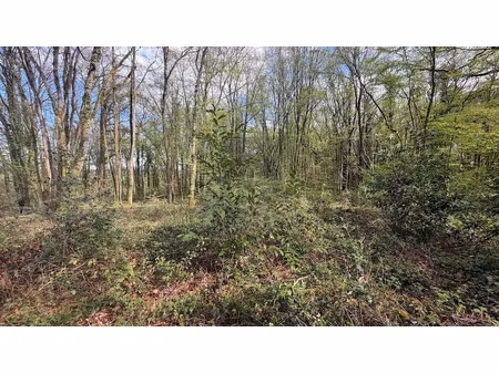 vente terrain 775 m² à bois-le-roi (77590)  9 990 €