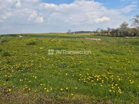 vente terrain 997 m² à mirebeau-sur-bèze (21310)  42 500 €