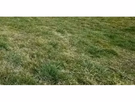 vente terrain à batir 1129 m² à bichancourt (02300)  24 000 €