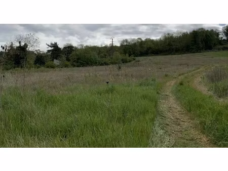 vente terrain à batir 628 m² à fismes (51170)  26 600 €