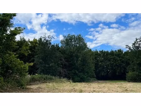 vente terrain à batir 917 m² à beaumont-en-beine (02300)  33 000 €