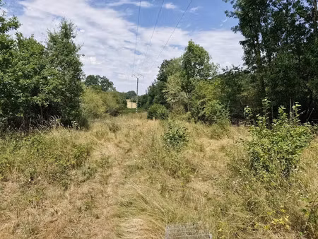 vente terrain 20000 m² à verneuil-sur-vienne (87430)  40 040 €
