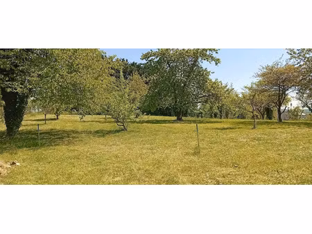 vente terrain à batir 1310 m² à bucy-le-long (02880)  75 000 €