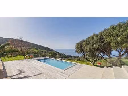 maison avec piscine et terrasse calcatoggio (2a)