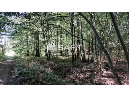 vente terrain 136761 m² à arquian (58310)  119 000 €