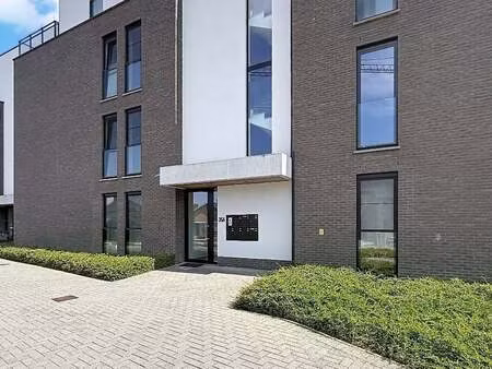 appartement à louer à bocholt € 950 (lqg1k) - era impact (bree) | zimmo
