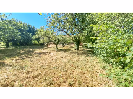 terrain constructible
