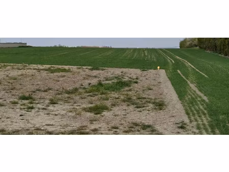 vente terrain à batir 550 m² à berméricourt (51220)  104 500 €