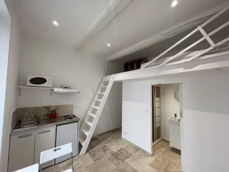 studio meublé et rénové 13m2