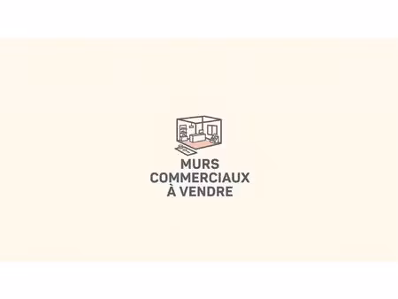 immobilier professionnel à vendre bizanos