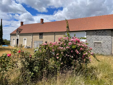 maison à vendre à saint-hilaire-en-lignières (18160) - cher