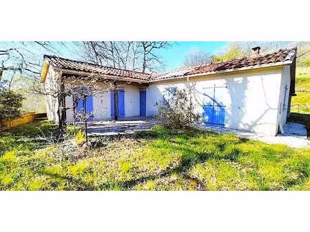 maison avec jardin et terrasse vic-fezensac (32)