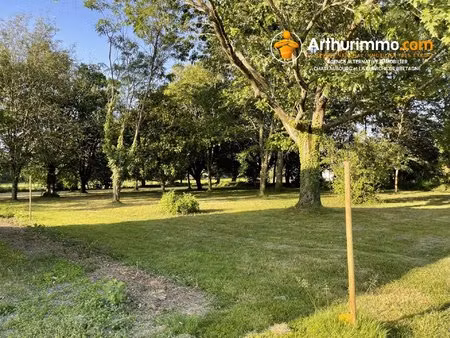 beau et grand terrain construtible
