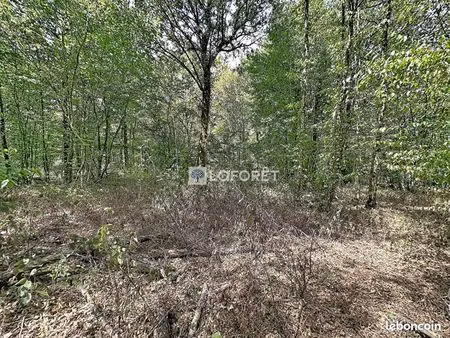 terrain 37 905 m² saint aubin le cloud