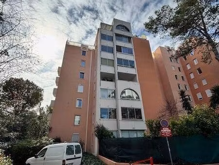 studio 1 pièce 33 m²