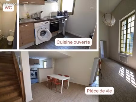 appartement lumineux t2bis avec mezzanine et meublé de 60 m² à castelnaudary centre