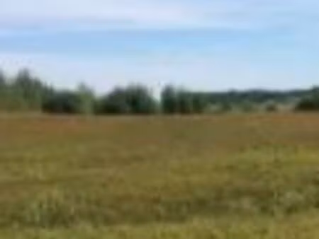 terrain agricole
