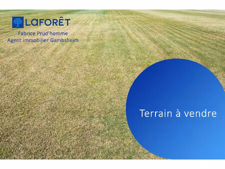 magnifique terrain de 1 200 m2 dalhunden