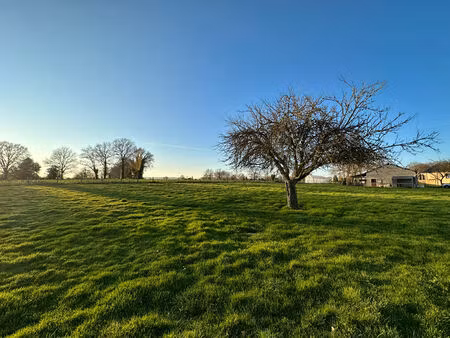 vente terrain  1250.00m²  mayenne